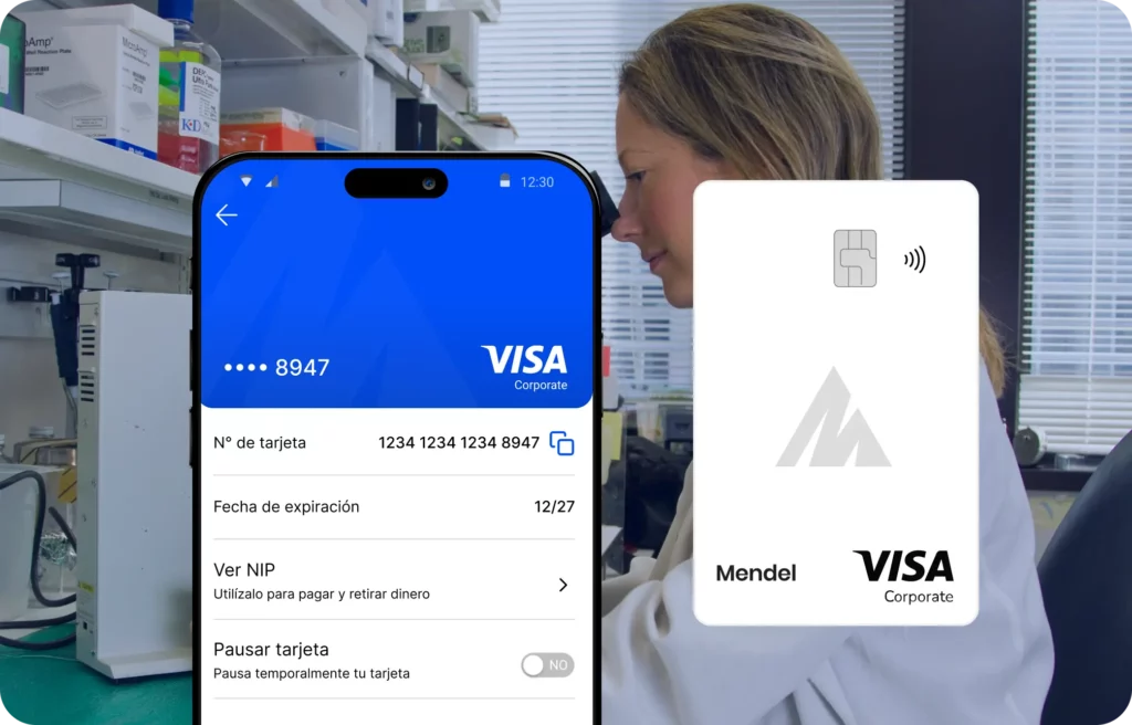 tarjeta visa mendel